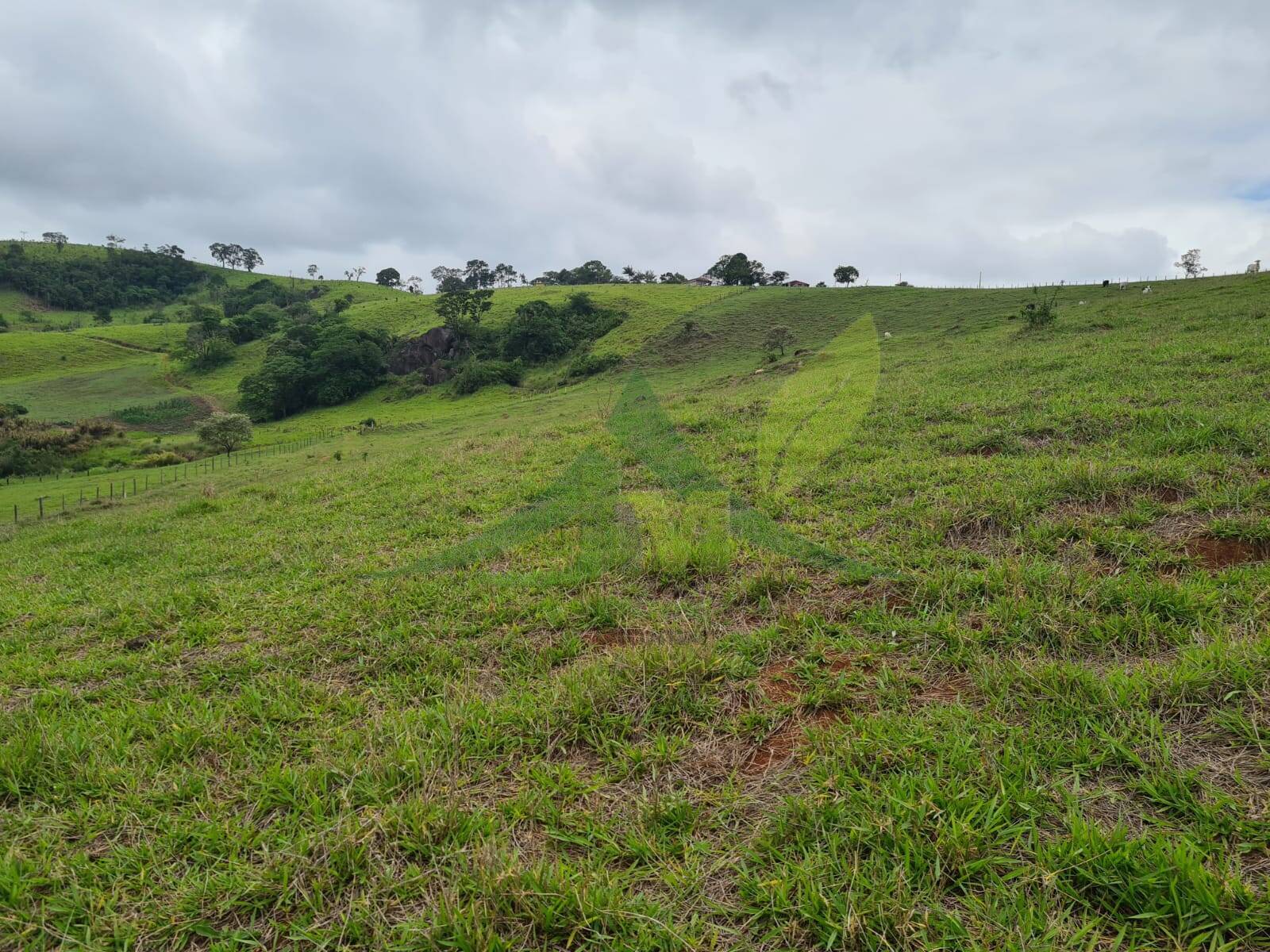 Sítio, 5 quartos, 39 hectares - Foto 25