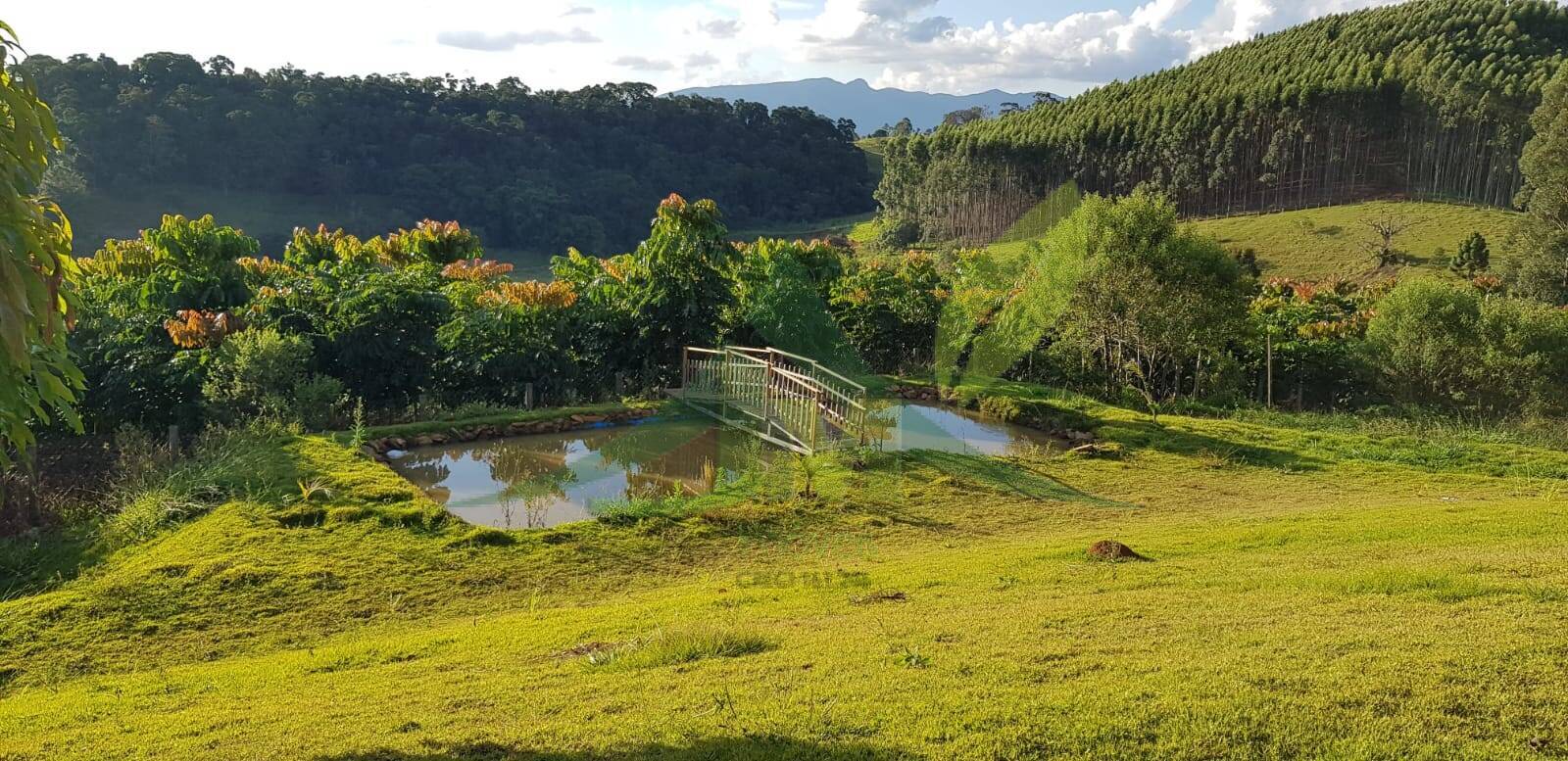 Sítio, 3 quartos, 2 hectares - Foto 1
