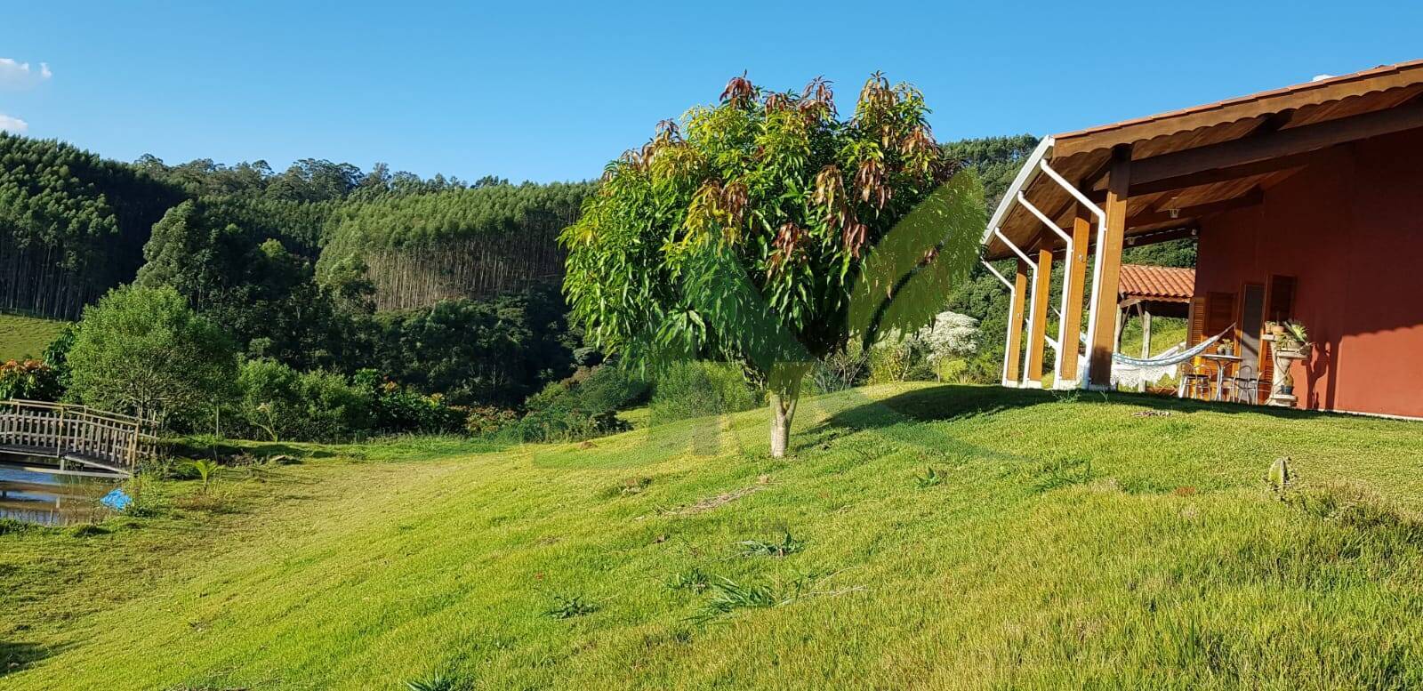 Sítio, 3 quartos, 2 hectares - Foto 3