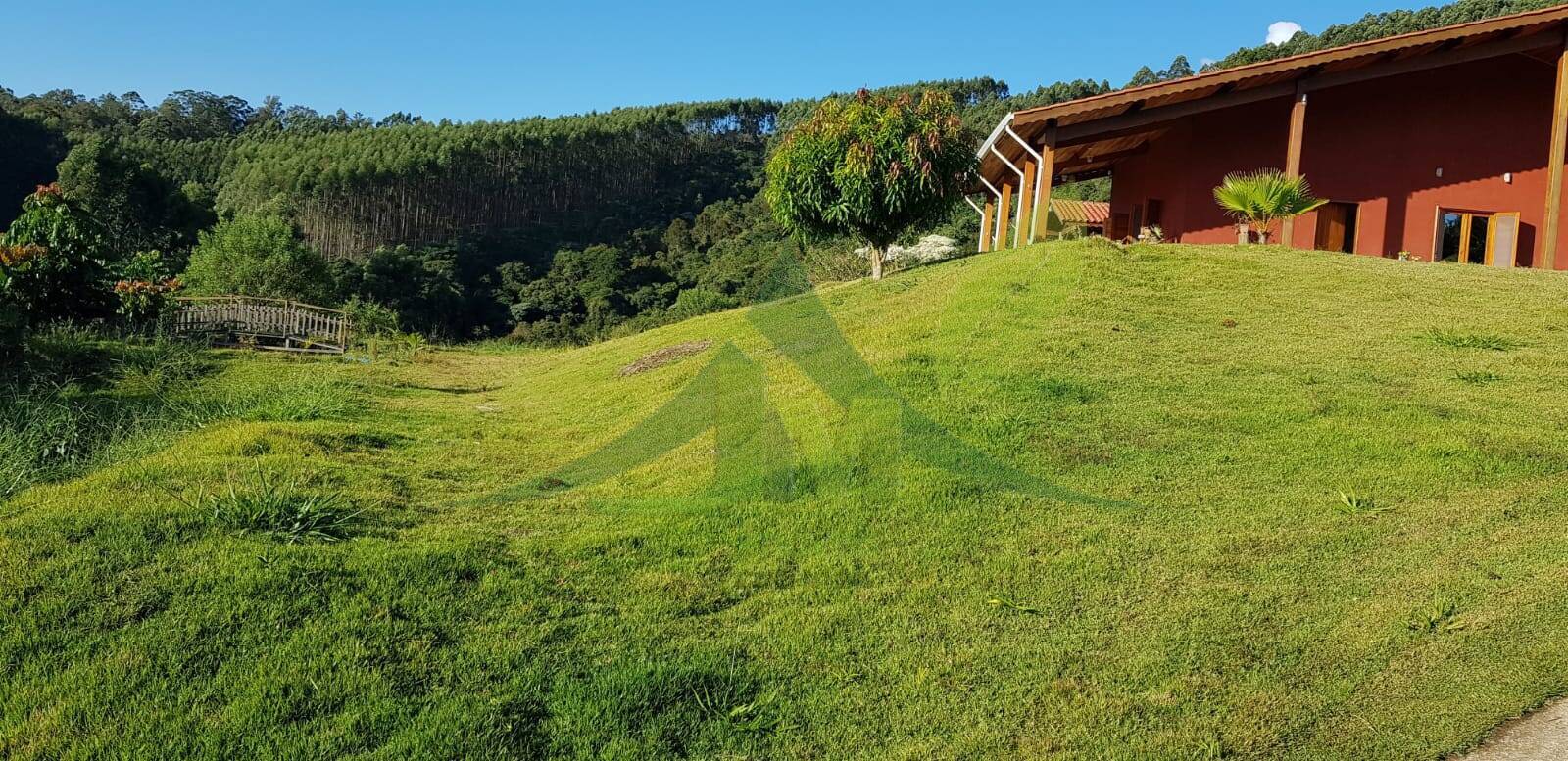 Sítio, 3 quartos, 2 hectares - Foto 4