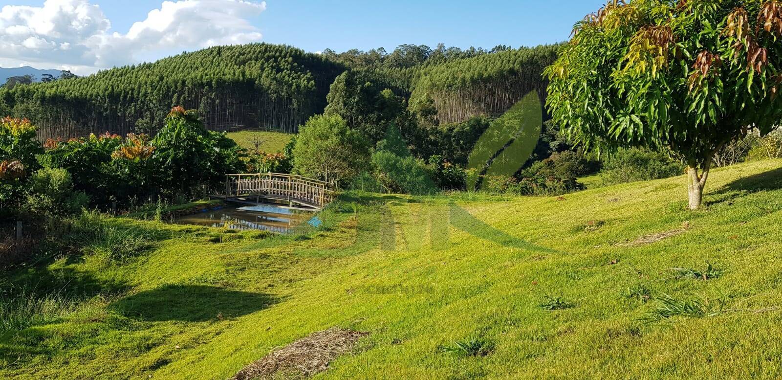 Sítio, 3 quartos, 2 hectares - Foto 6