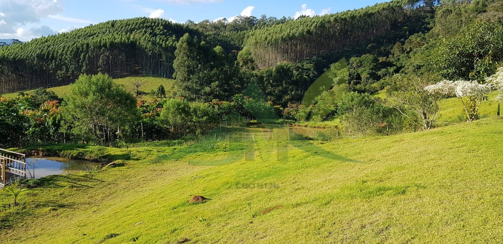 Sítio, 3 quartos, 2 hectares - Foto 23