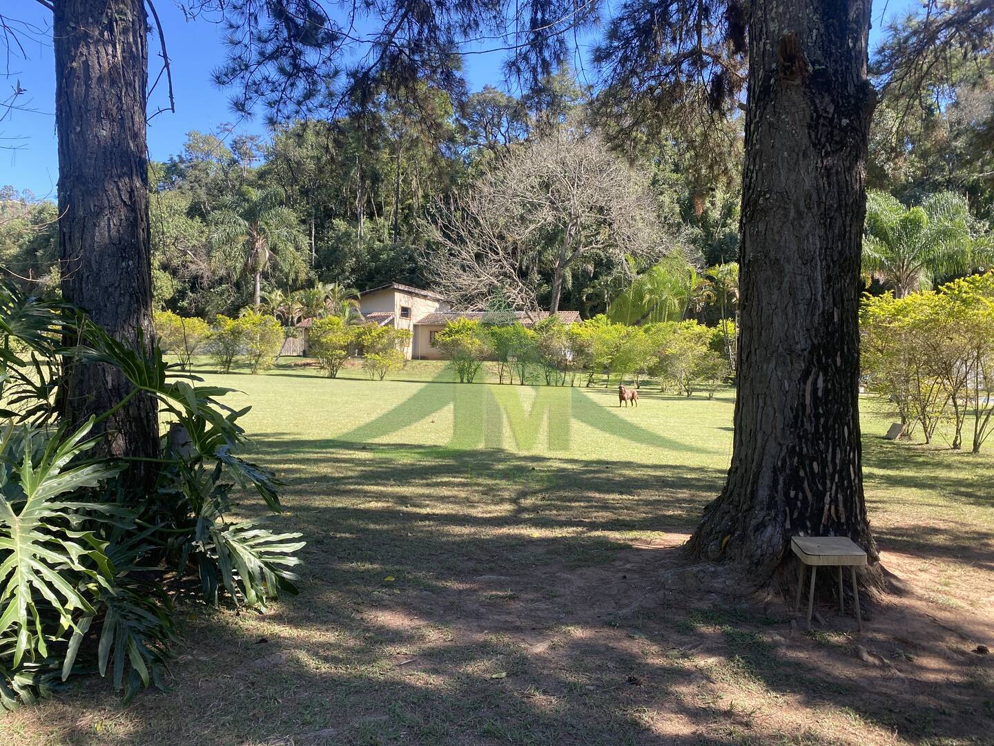 Sítio, 8 quartos, 1 hectares - Foto 17