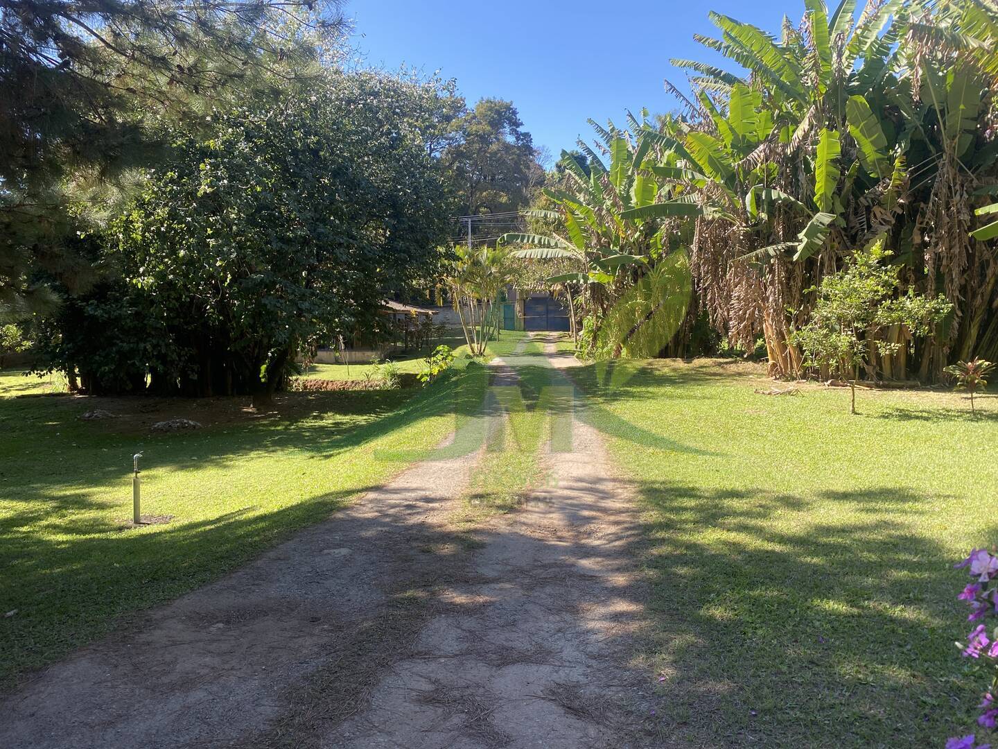 Sítio, 8 quartos, 1 hectares - Foto 18