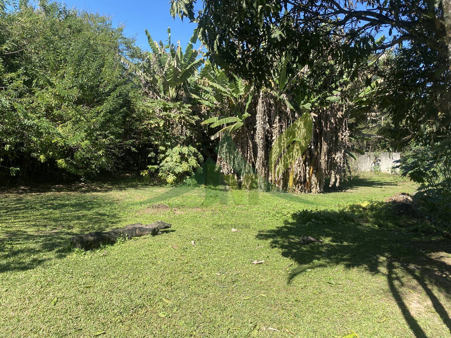 Sítio, 8 quartos, 1 hectares - Foto 20