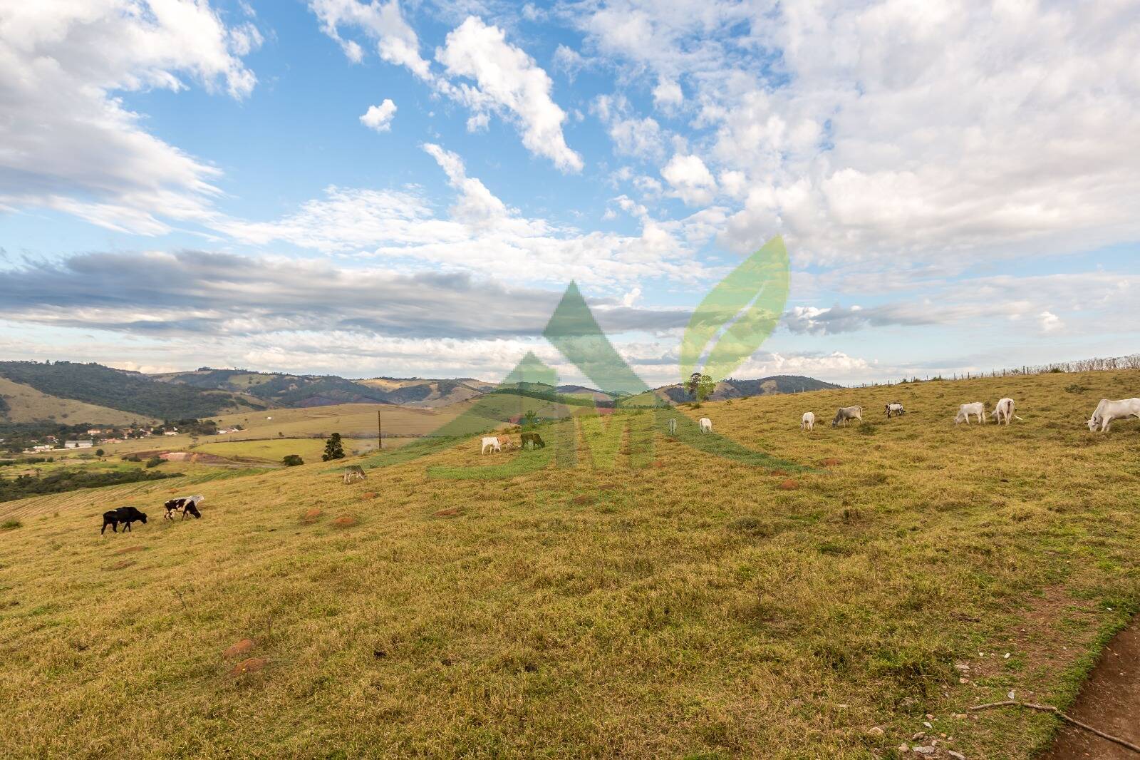 Sítio, 5 quartos, 1500 m² - Foto 39
