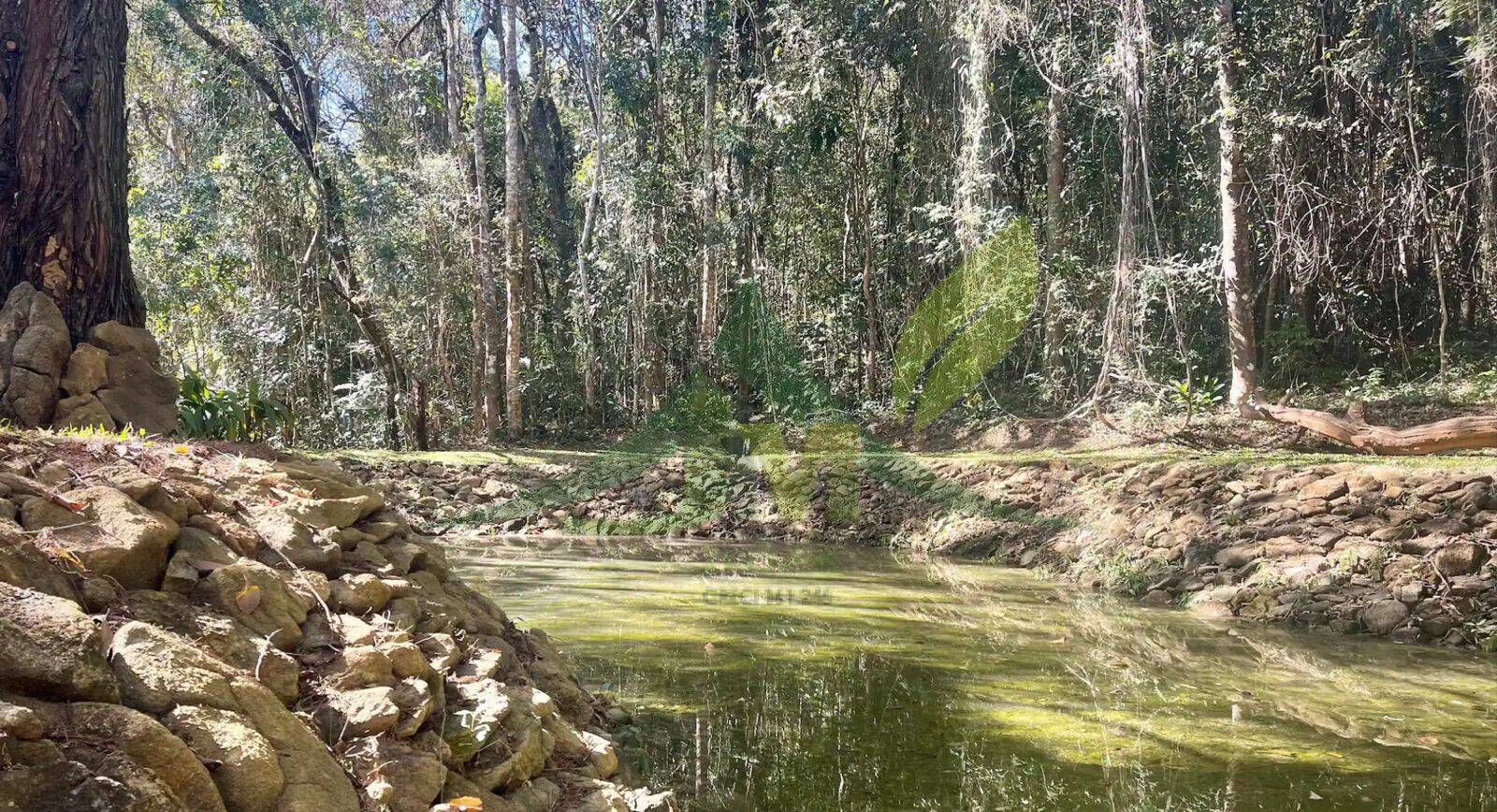 Sítio, 3 quartos, 4 hectares - Foto 40