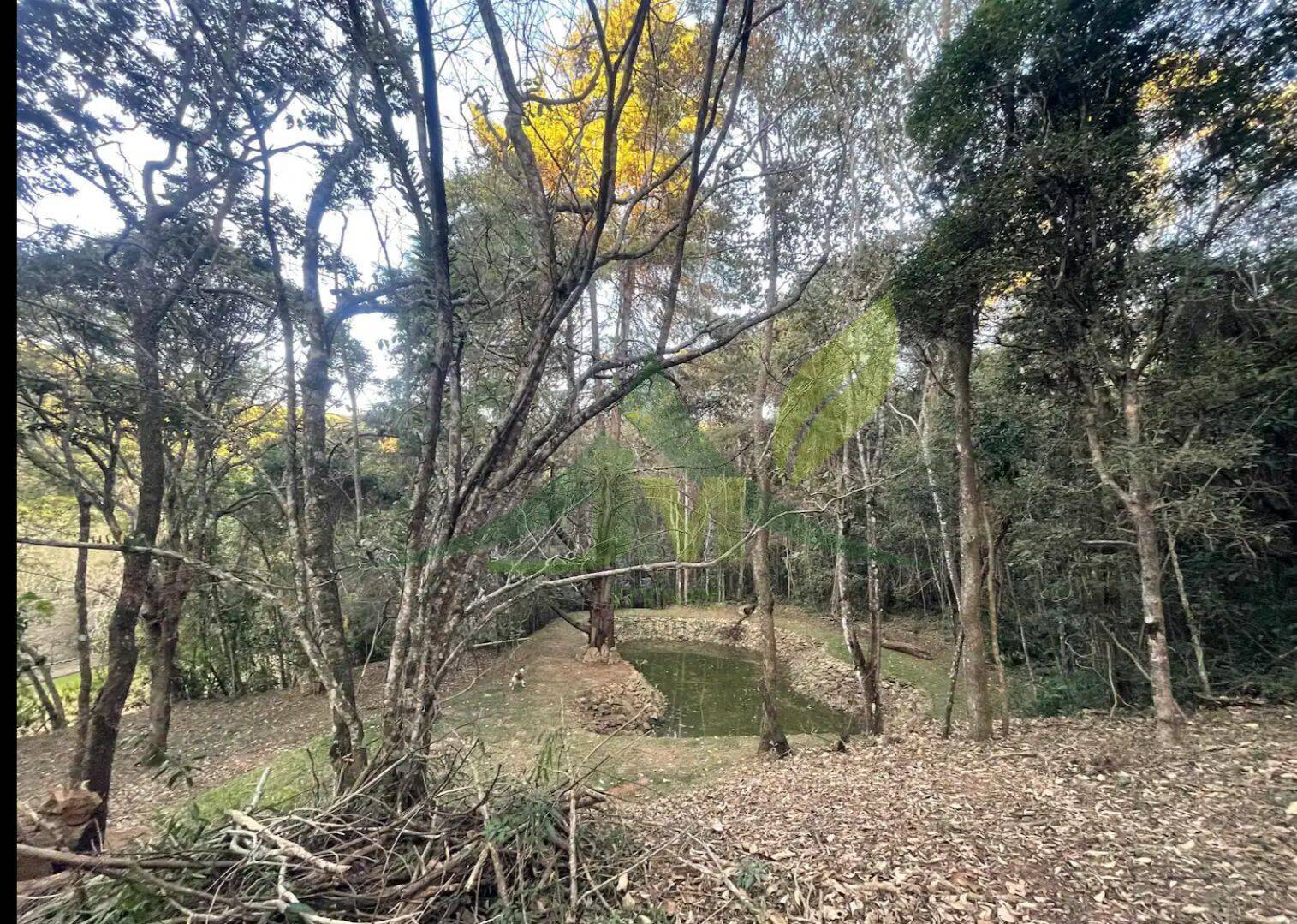 Sítio, 3 quartos, 4 hectares - Foto 41