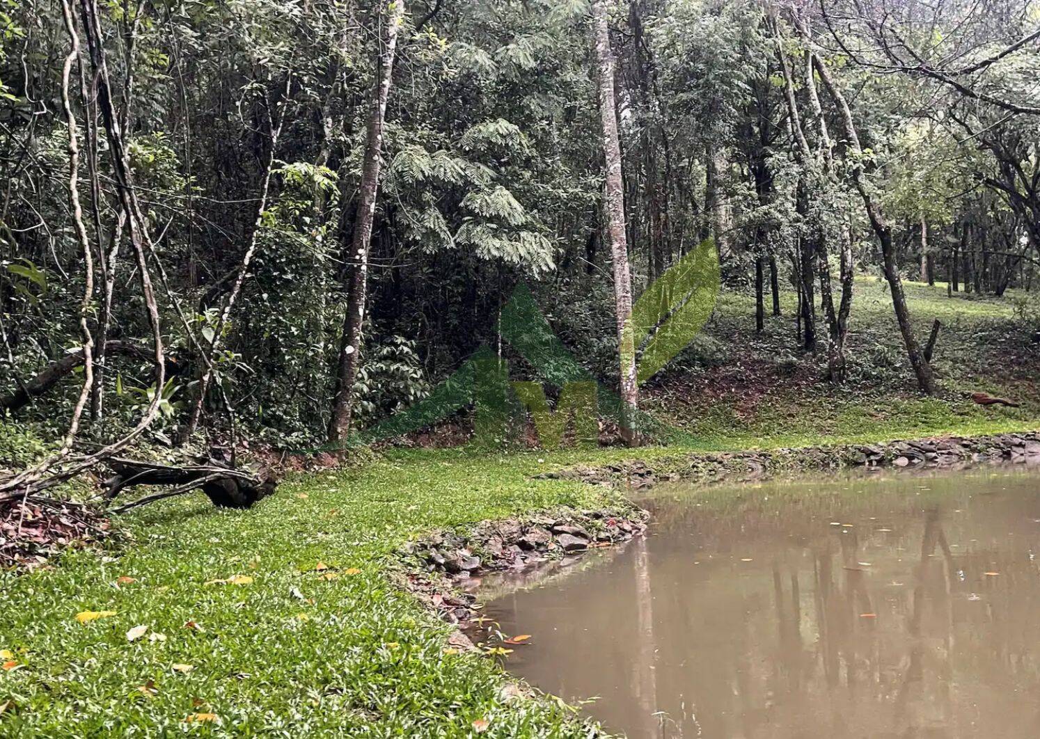 Sítio, 3 quartos, 4 hectares - Foto 42