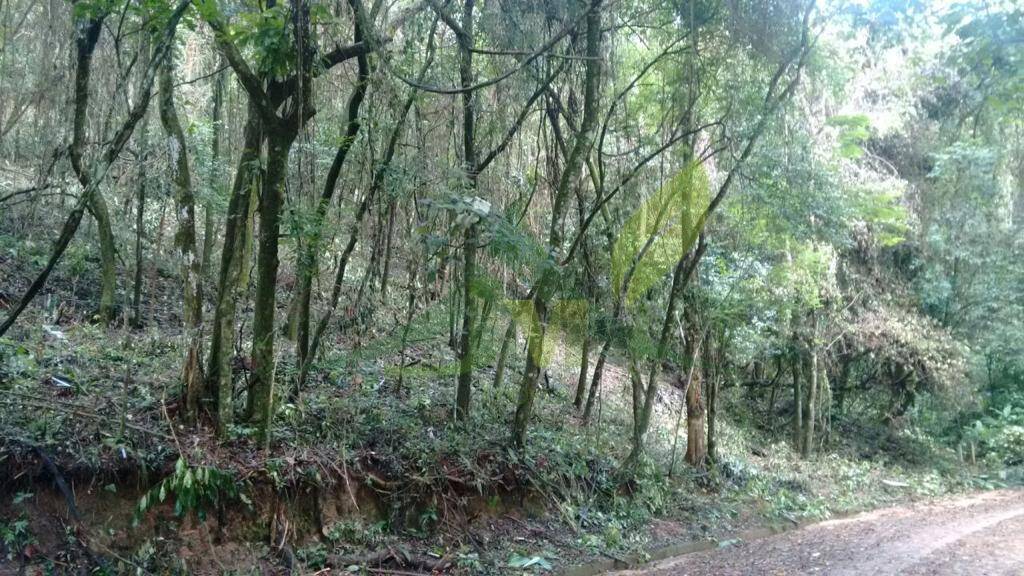 Terreno, 3370 m² - Foto 4
