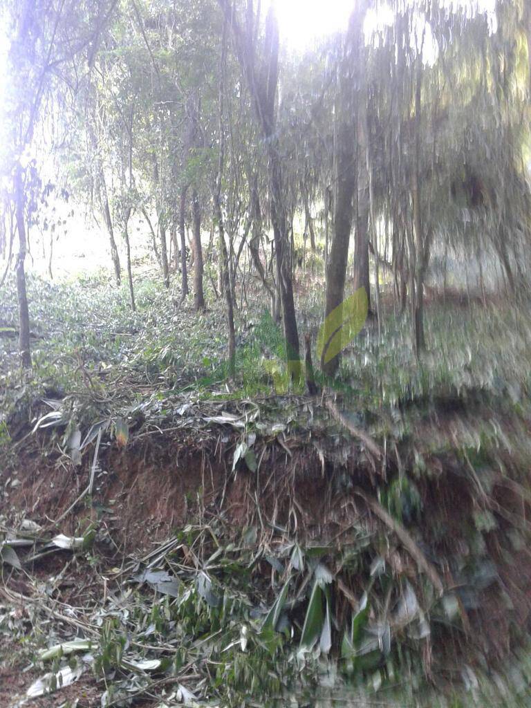 Terreno, 3370 m² - Foto 8