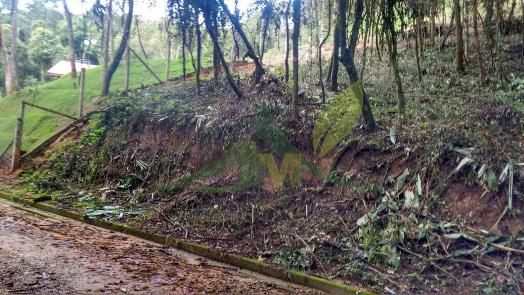 Terreno, 3370 m² - Foto 9