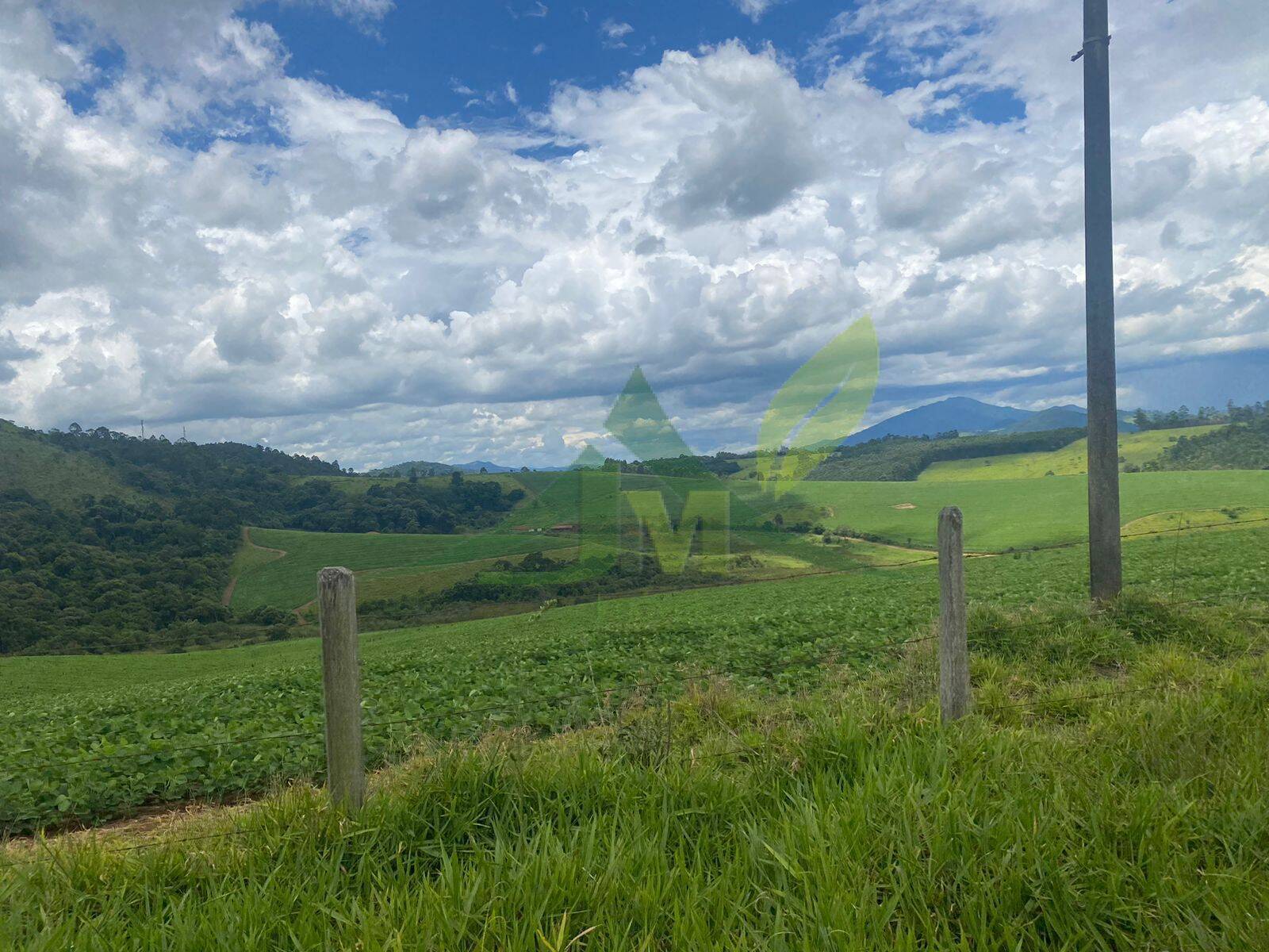 Fazenda, 148 hectares - Foto 2