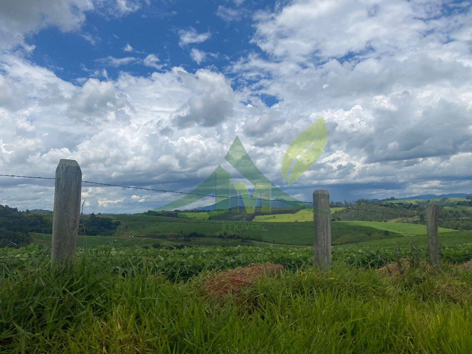 Fazenda, 148 hectares - Foto 3