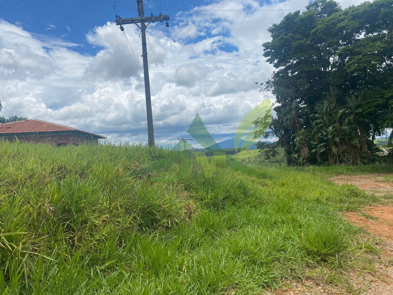 Fazenda, 148 hectares - Foto 4