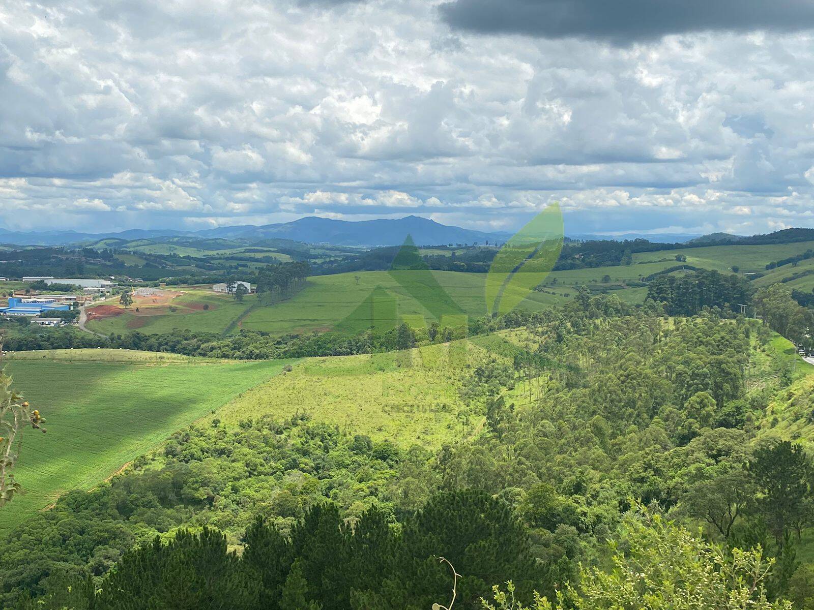 Fazenda, 148 hectares - Foto 6