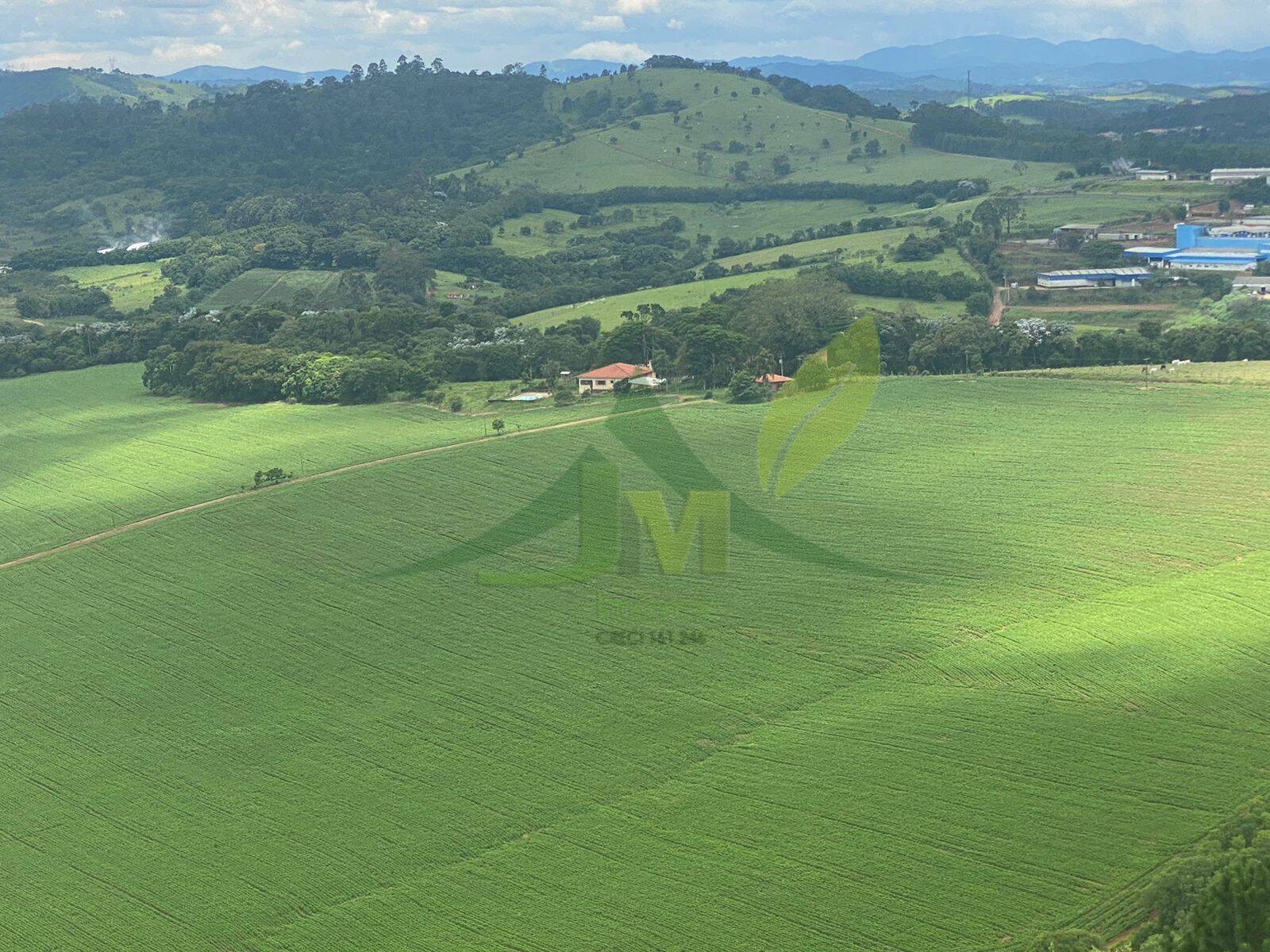 Fazenda, 148 hectares - Foto 8