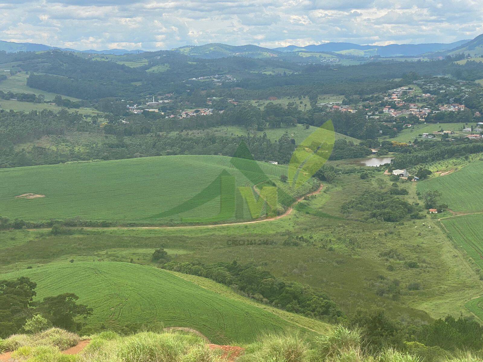 Fazenda, 148 hectares - Foto 10