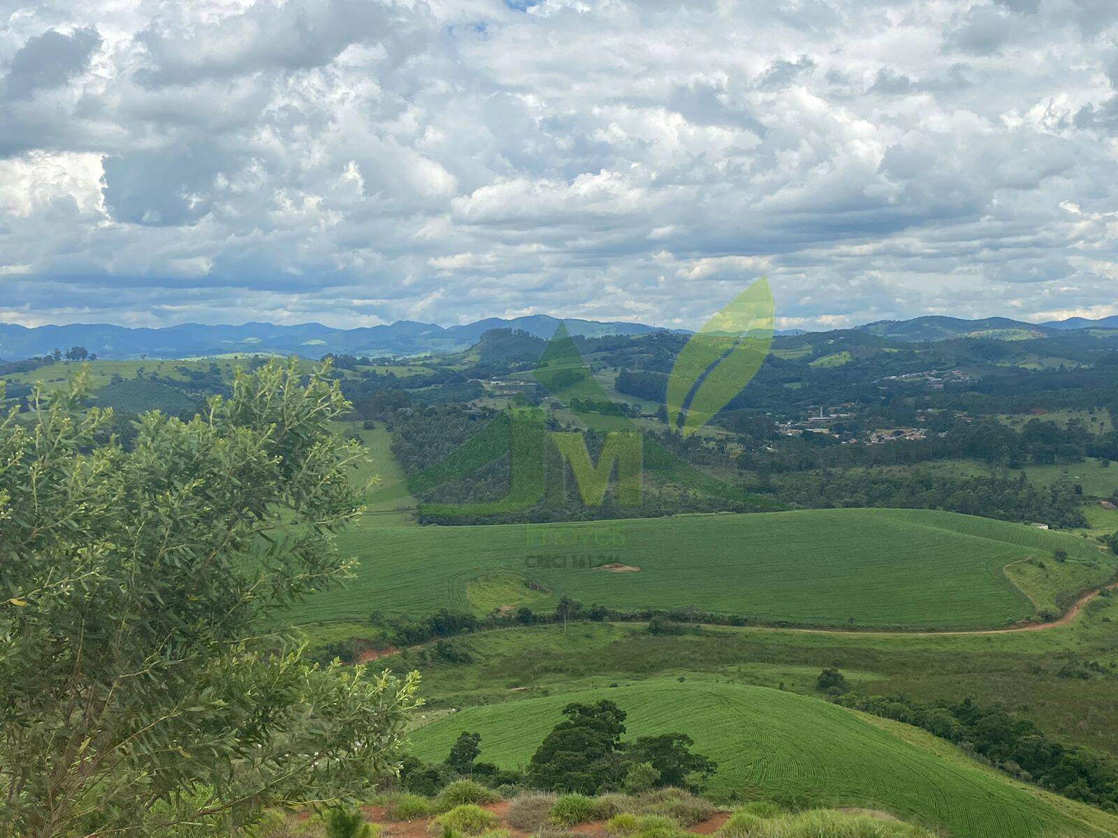 Fazenda, 148 hectares - Foto 9