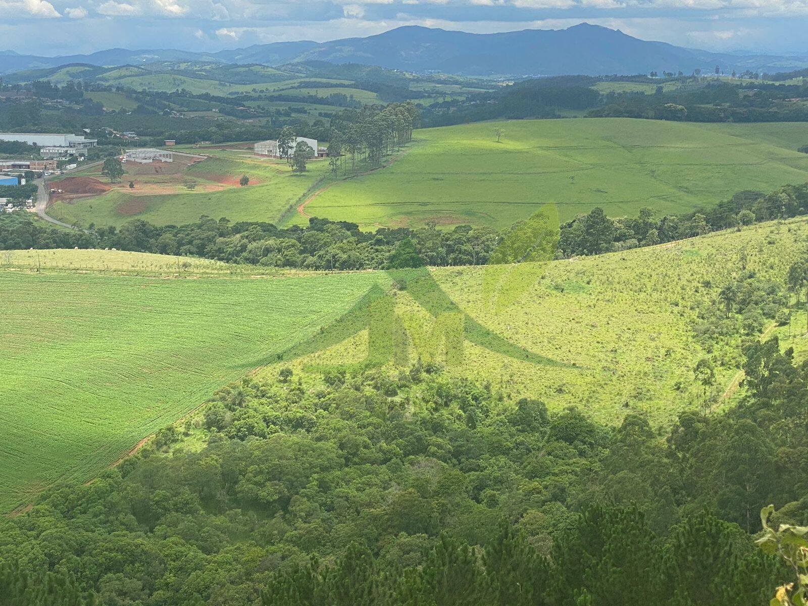 Fazenda, 148 hectares - Foto 11