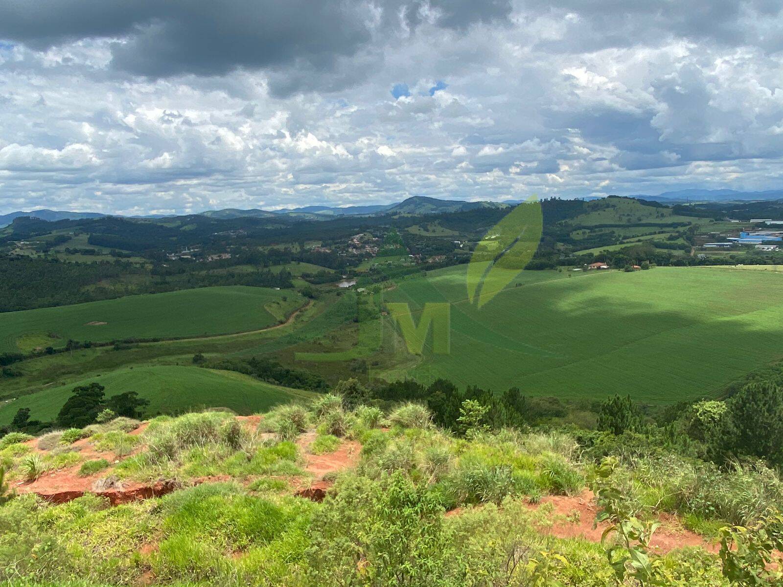 Fazenda, 148 hectares - Foto 13