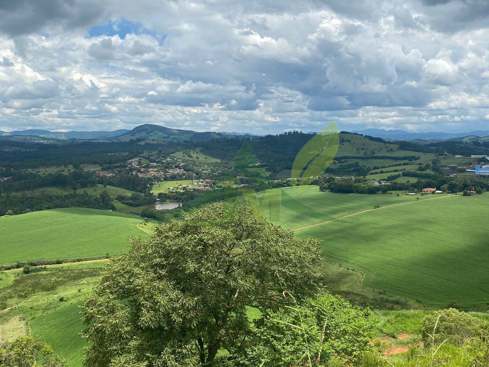 Fazenda, 148 hectares - Foto 14
