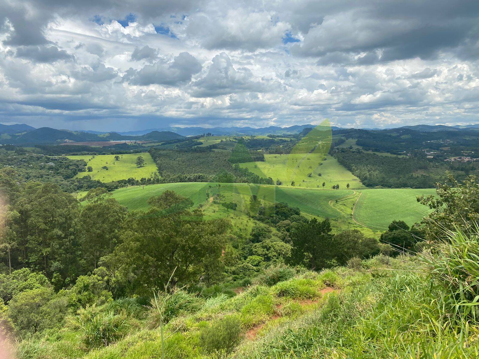 Fazenda, 148 hectares - Foto 16