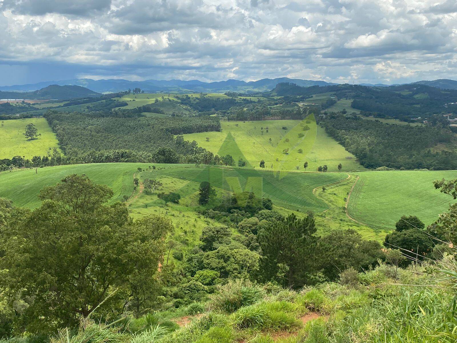 Fazenda, 148 hectares - Foto 18