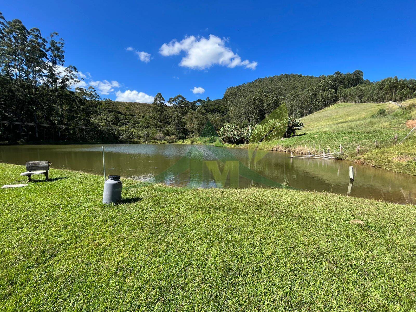 Fazenda, 196 hectares - Foto 8