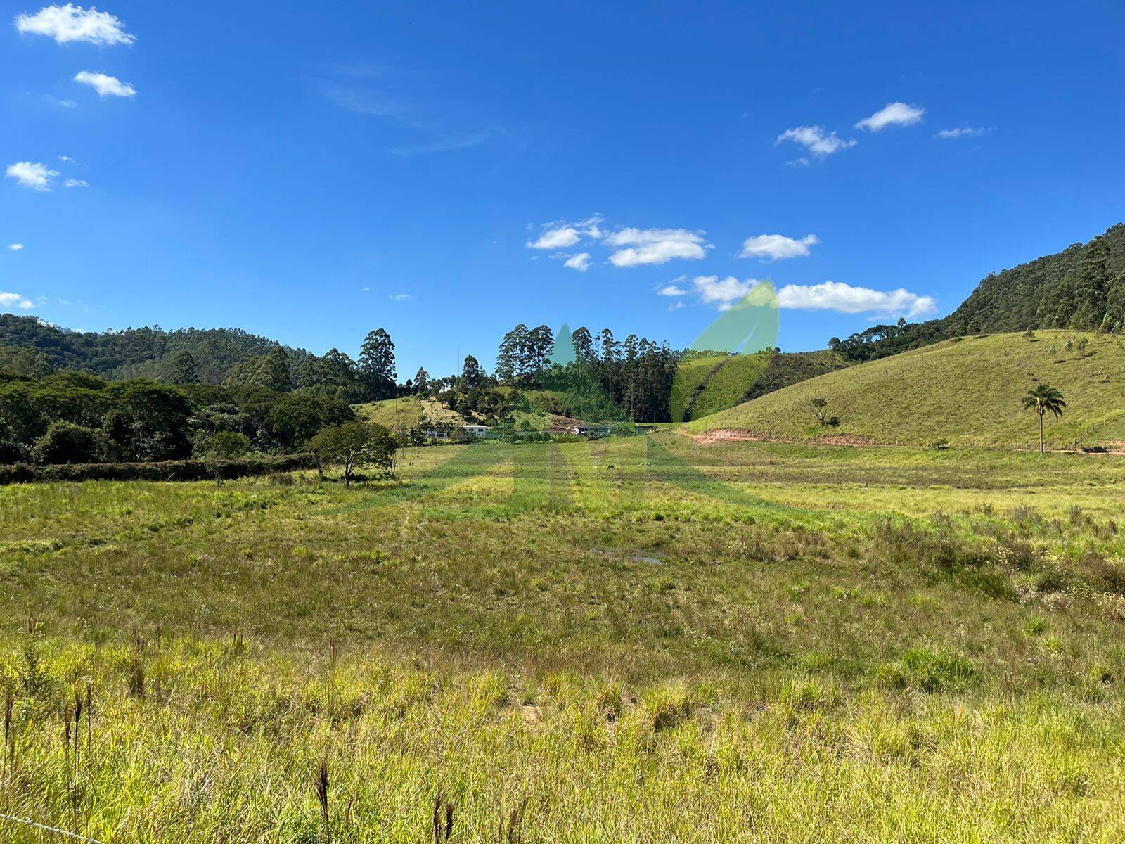 Fazenda, 196 hectares - Foto 12