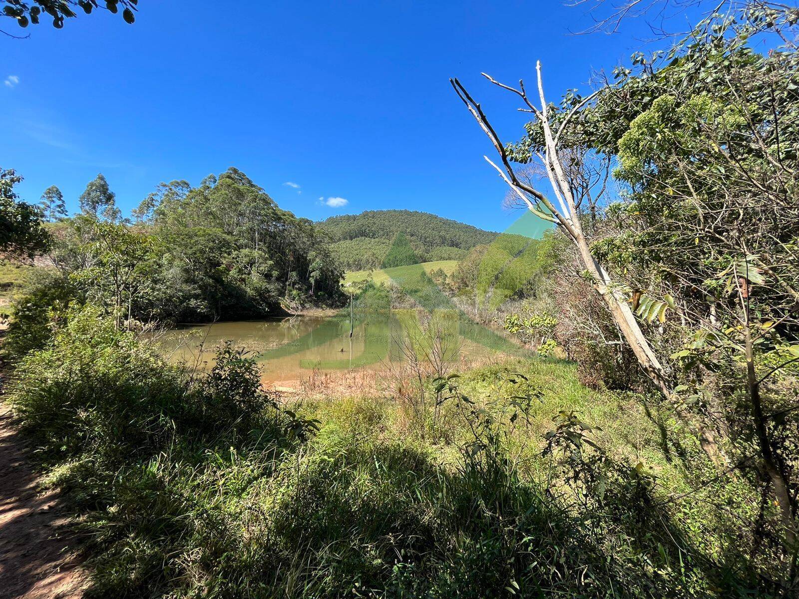 Fazenda, 196 hectares - Foto 13