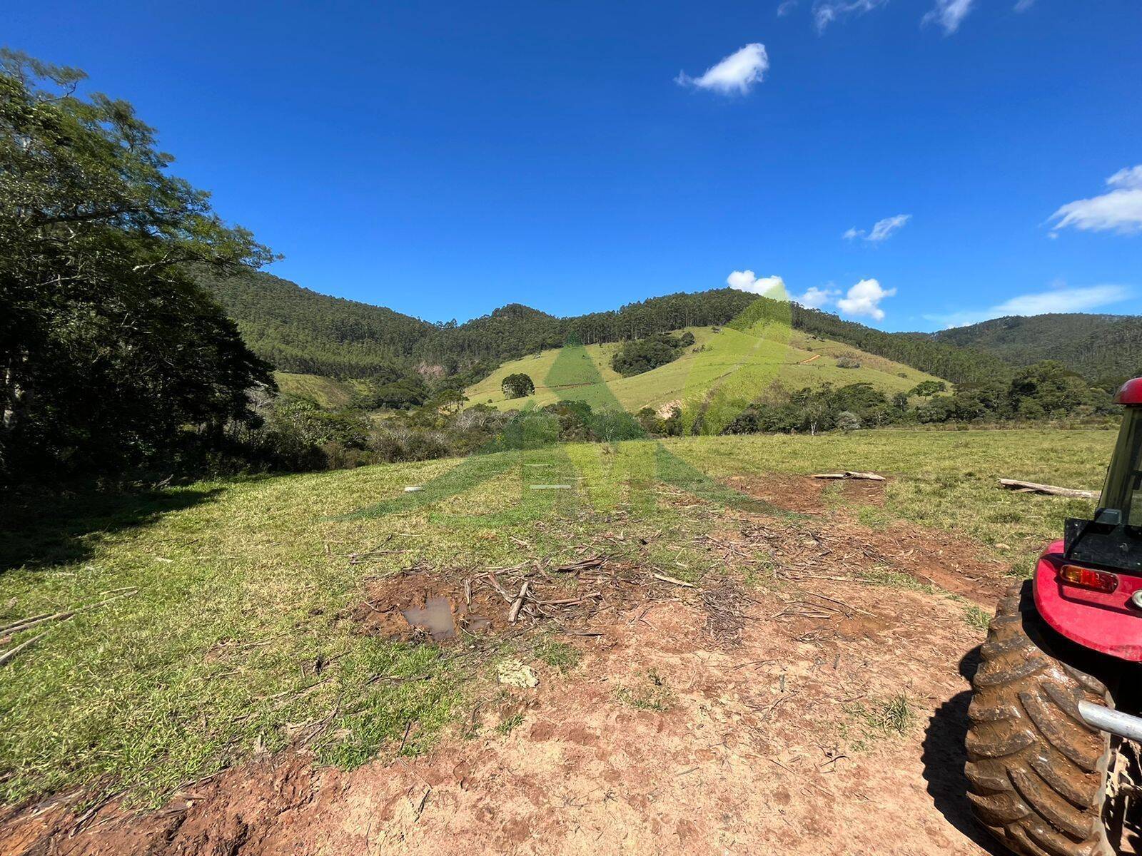 Fazenda, 196 hectares - Foto 14