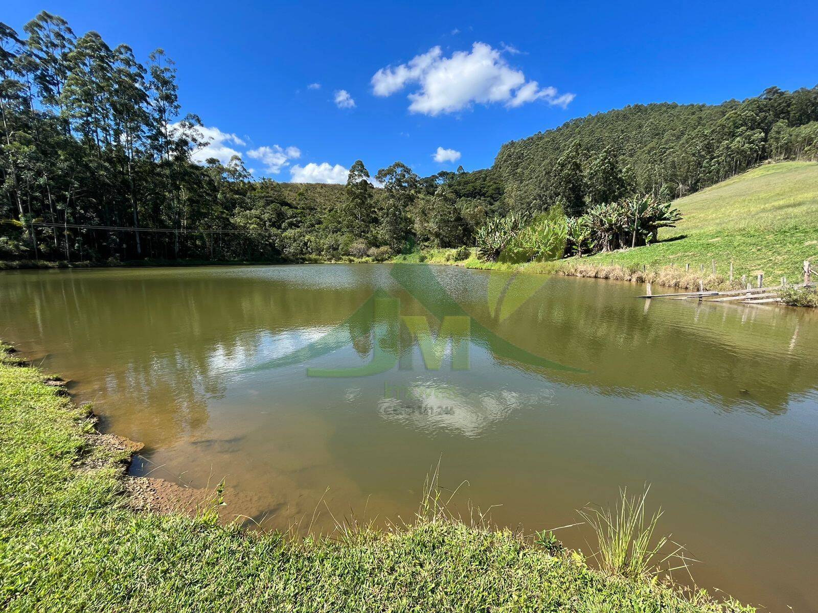 Fazenda, 196 hectares - Foto 15
