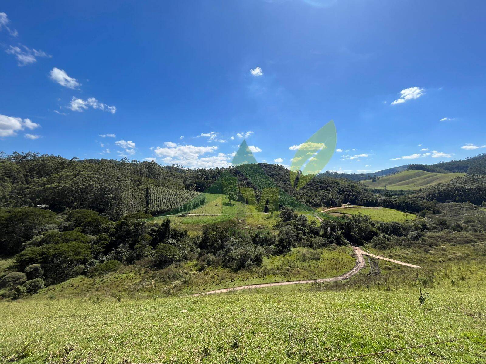 Fazenda, 196 hectares - Foto 18