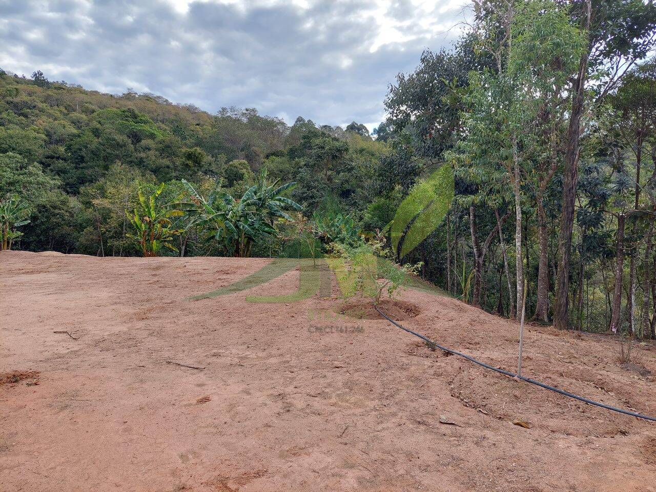 Terreno, 5300 m² - Foto 2