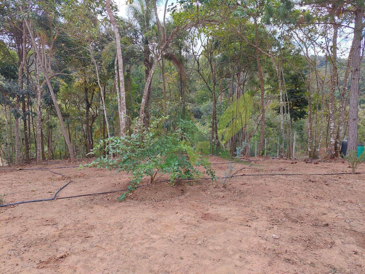 Terreno, 5300 m² - Foto 3