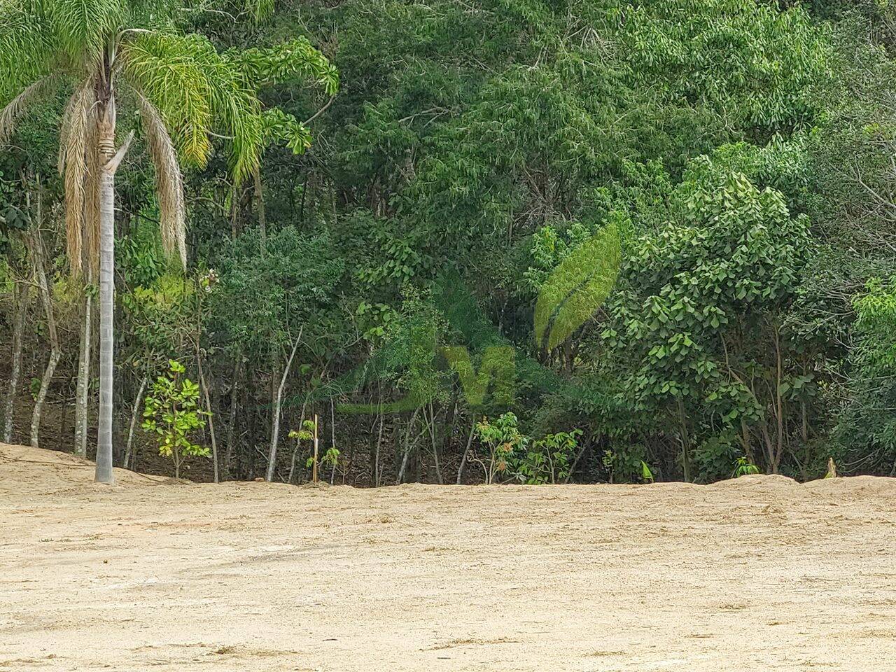 Terreno, 5300 m² - Foto 4