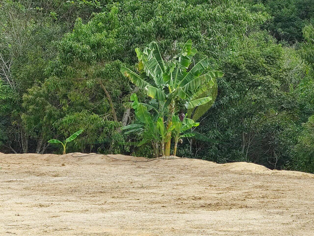 Terreno, 5300 m² - Foto 5