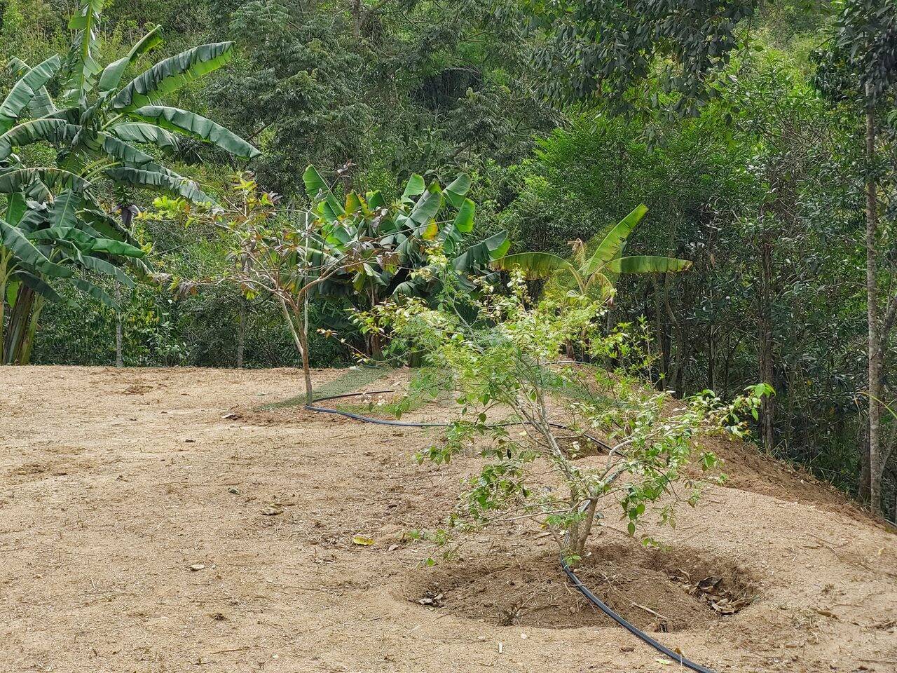 Terreno, 5300 m² - Foto 7