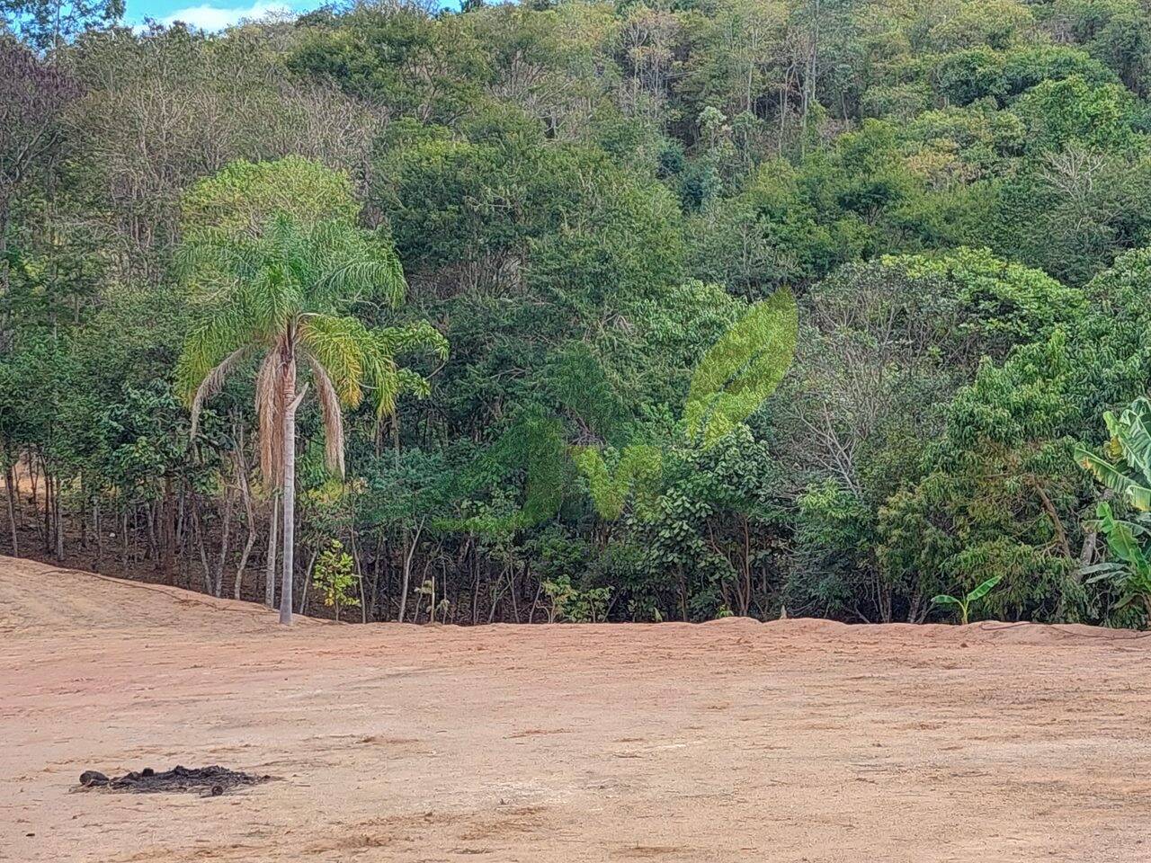 Terreno, 5300 m² - Foto 8