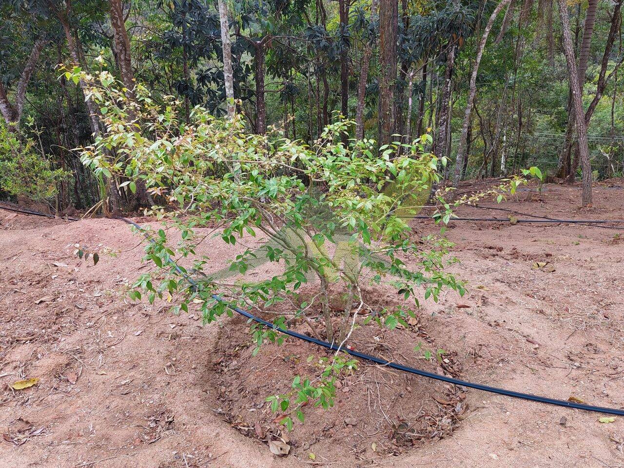 Terreno, 5300 m² - Foto 11