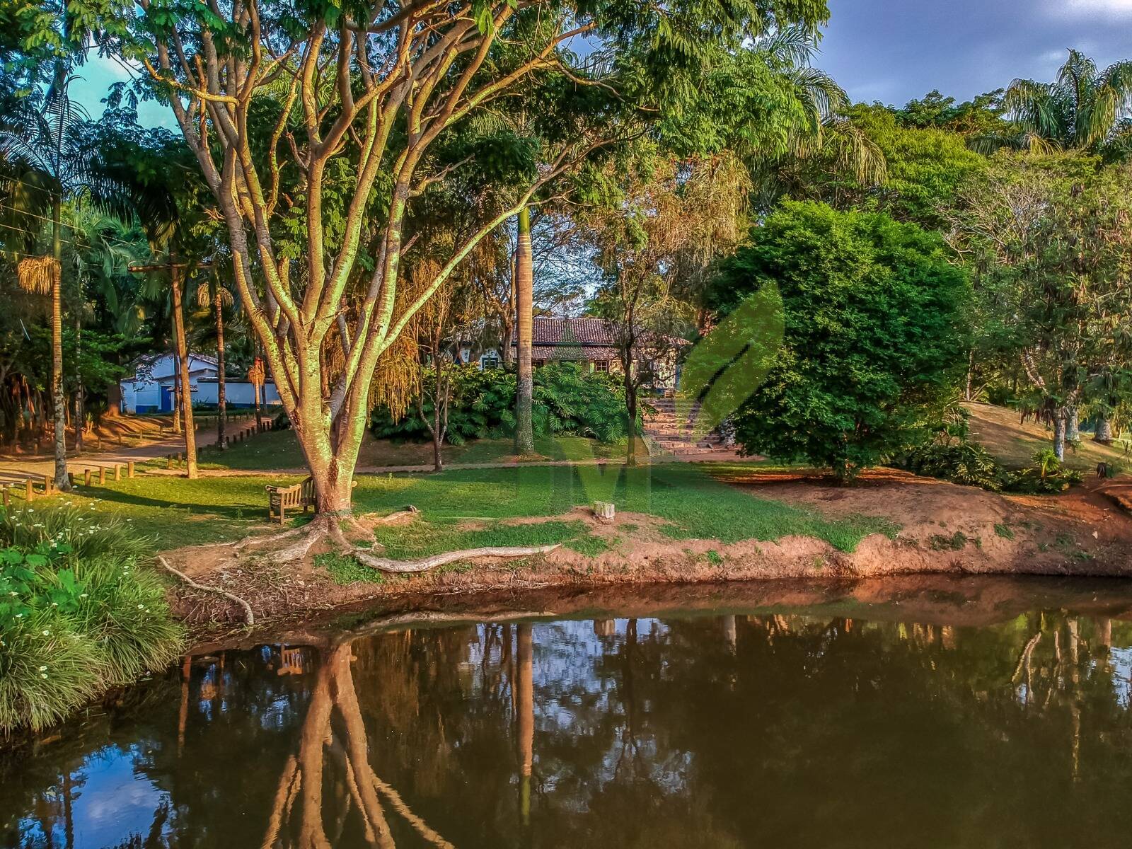 Fazenda, 27 hectares - Foto 13