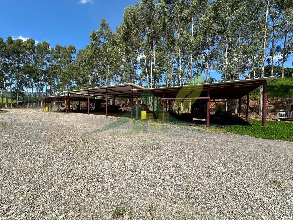 Fazenda, 315 hectares - Foto 2