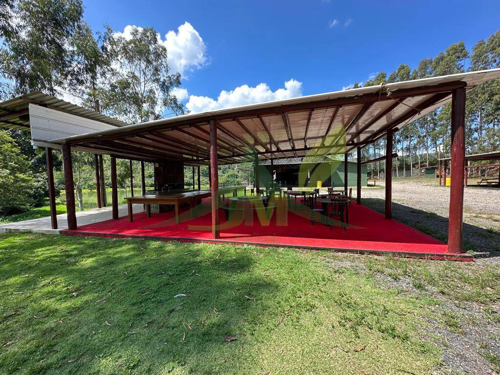Fazenda, 315 hectares - Foto 3