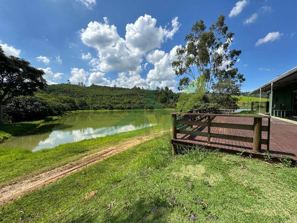 Fazenda, 315 hectares - Foto 5