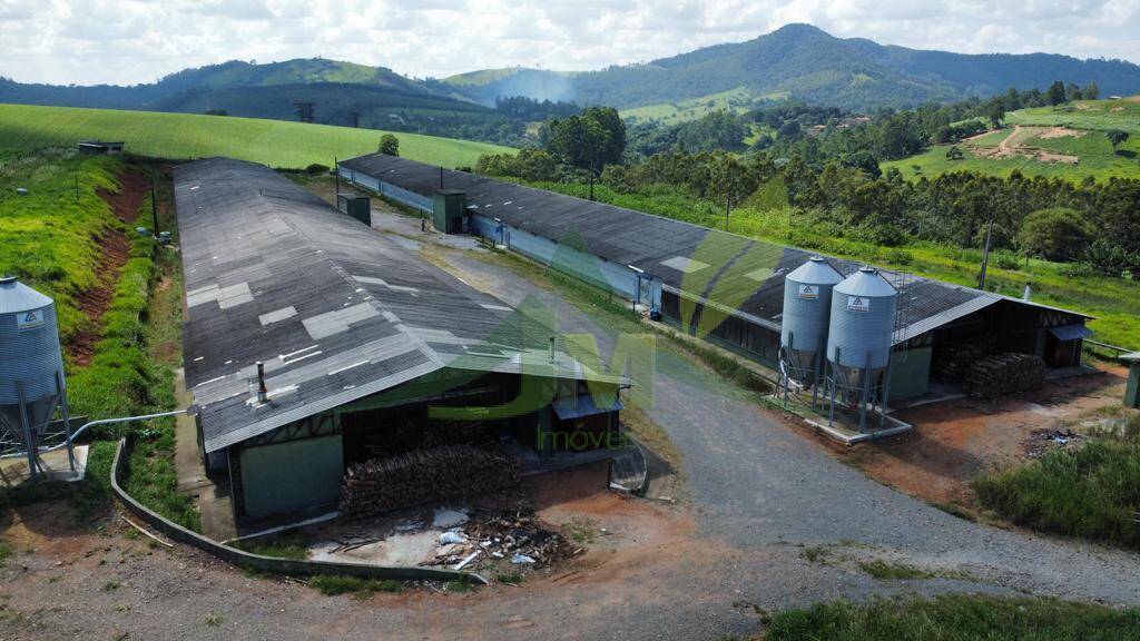 Fazenda, 315 hectares - Foto 13