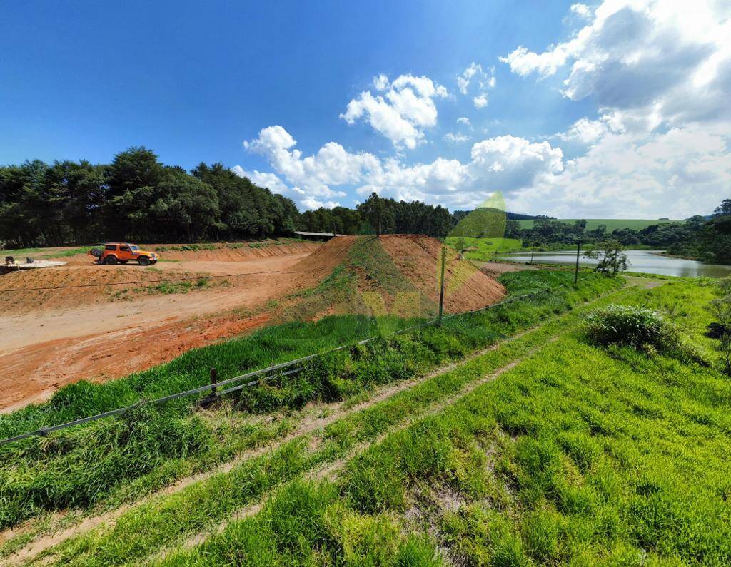 Fazenda, 315 hectares - Foto 11