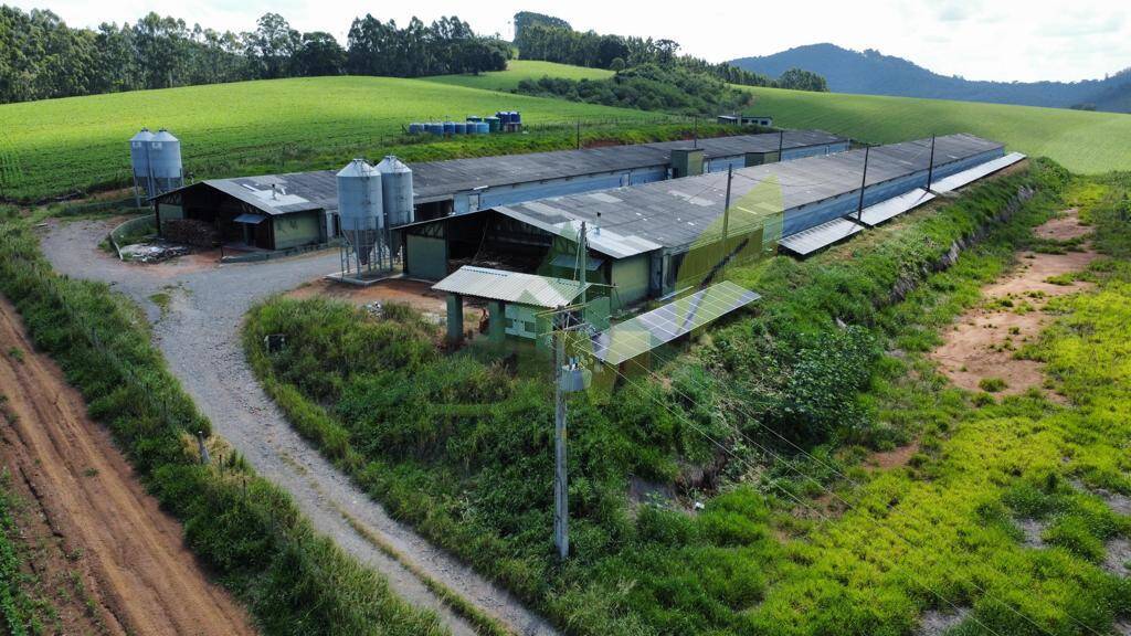 Fazenda, 315 hectares - Foto 14