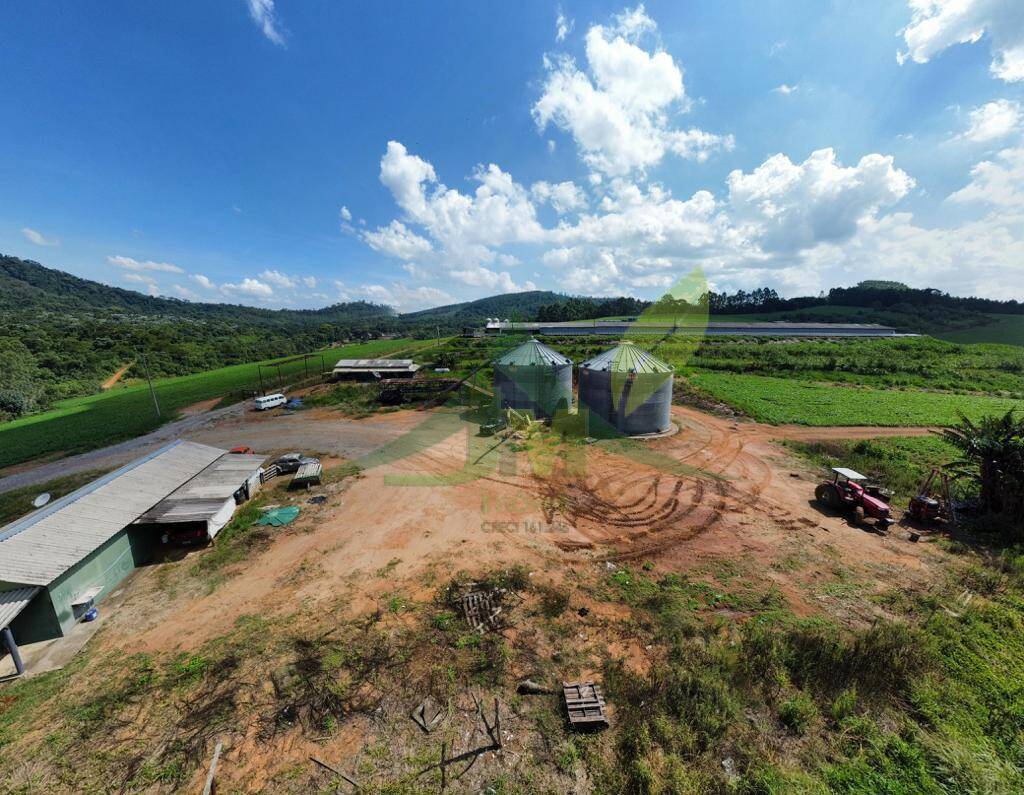 Fazenda, 315 hectares - Foto 16