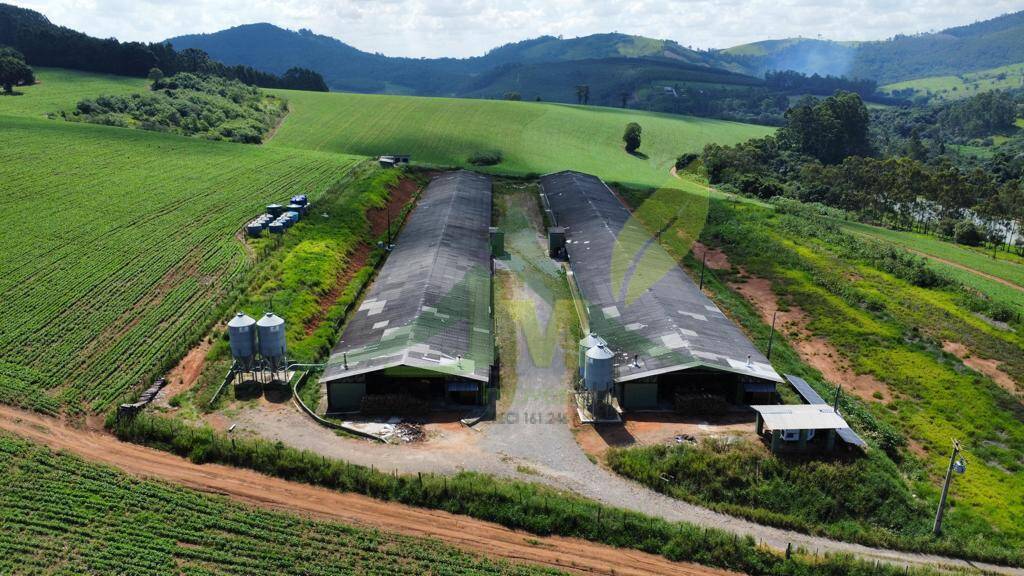 Fazenda, 315 hectares - Foto 15